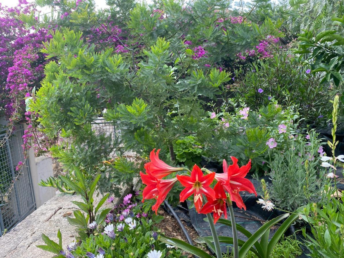Antiklea Villa Вати Екстериор снимка